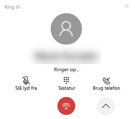Det udvidede opkaldsvindue.