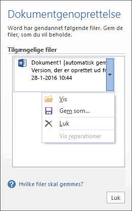 Ruden Gendannelse af dokumenter