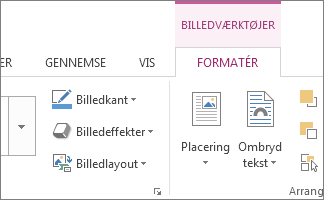Fanen Billedværktøjer