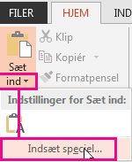 Menuen Indsæt speciel