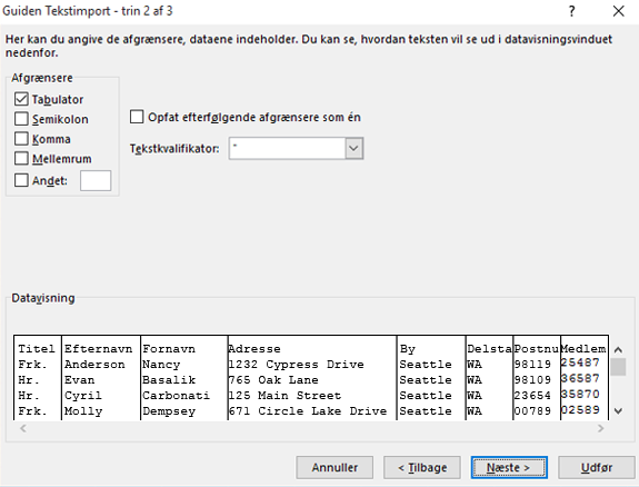 Indstillingerne for afgrænsere er fremhævet i guiden Tekstimport.