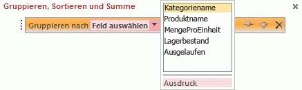 Feldliste im Bereich 'Gruppieren, Sortieren und Summe'