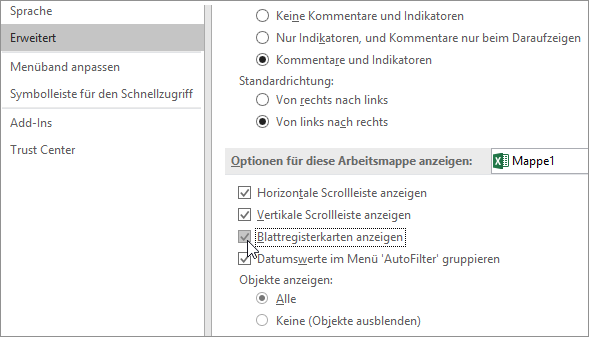 Anzeigen von Blattregisterkarten in Excel-Optionen