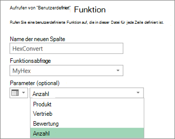 Das Dialogfeld Benutzerdefinierte Funktion aufrufen