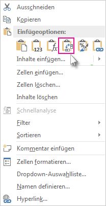 Menü 'Einfügeoptionen'