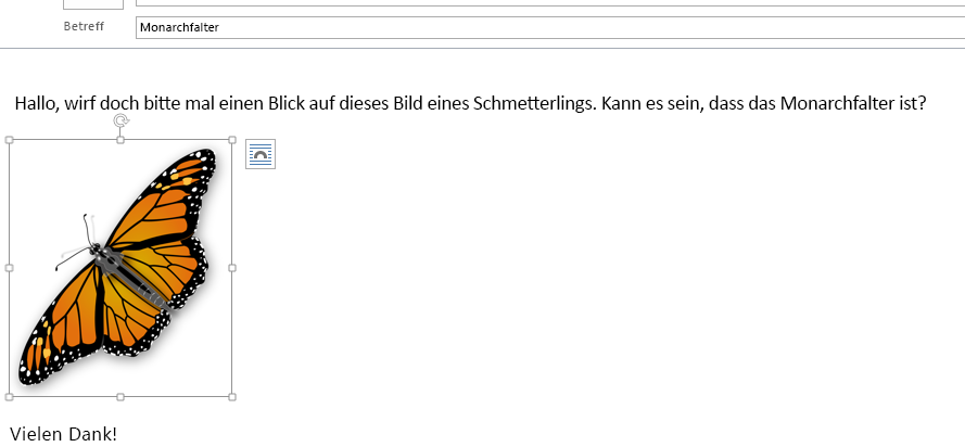 Das Bild befindet sich nun in Ihrer Nachricht.