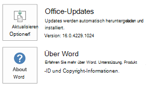 Wenn Office mit der Klick-und-Los-Technologie installiert wurde, sehen die Anwendungs- und Updateinformationen wie folgt aus.