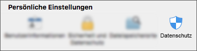 Das Datenschutzsymbol unter „Anwendungseinstellungen“.