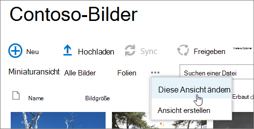 Ansichtsleiste der Bildbibliothek mit ausgewählter Option 