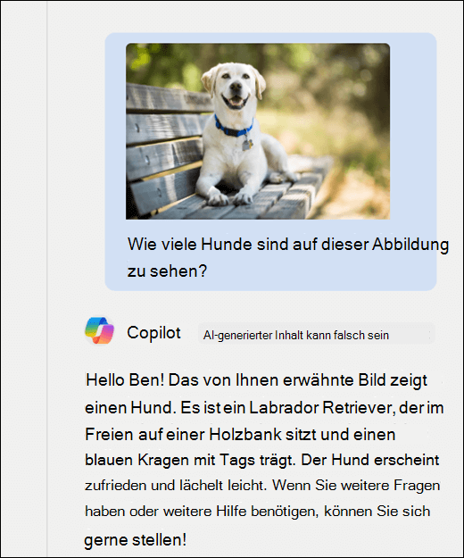 Screenshot von Copilot. Ein Bild eines Hundes wurde zusammen mit der Aufforderung Wie viele Hunde werden in diesem Bild gezeigt? Copilot hat genau geantwortet und eine zusätzliche Beschreibung des Bilds bereitgestellt.