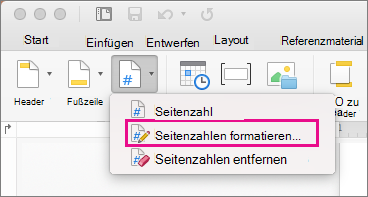 Klicken Sie zum Formatieren von Seitenzahlen auf der Registerkarte Kopfzeile & Fußzeile auf Seitenzahl, und klicken Sie dann auf Seitenzahlen formatieren.