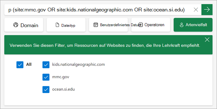 Bildschirmfoto, wie der benutzerdefinierte Filter für Schüler erscheint, wenn er aktiviert ist.