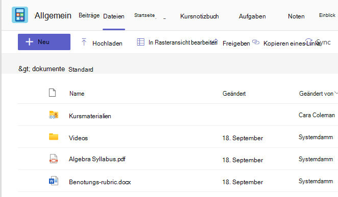Screenshot Files Registerkarte mit Kursmaterialien und freigegebenen Dateien