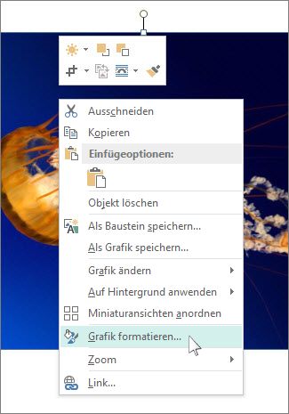 Screenshot der Optionen unter 