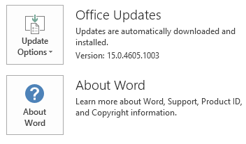Screenshot der Updateoptionen mit der angezeigten Version.