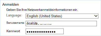 Anmelden mit Netzwerkanmeldeinformationen