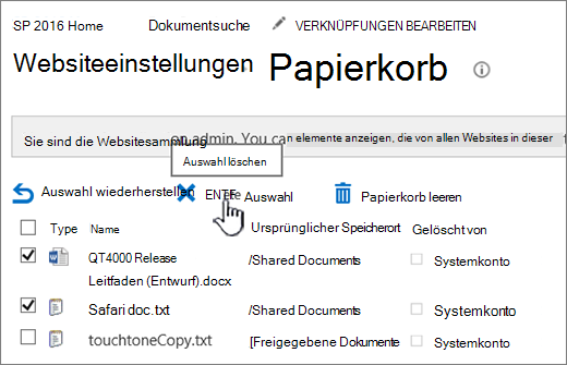 Seite für SharePoint 2016-Papierkorb mit Hervorhebung der Schaltfläche 