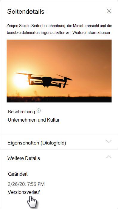 Screenshot des Versionsverlaufslinks unter den Seitendetails