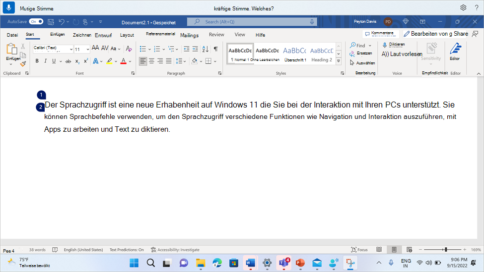Word Dokument mit dem Sprachzugriffsbefehl Fett.