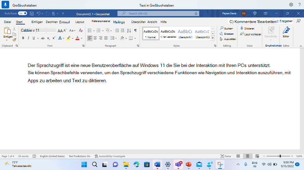 Word Dokument mit dem Sprachzugriffsbefehl In Großbuchstaben.
