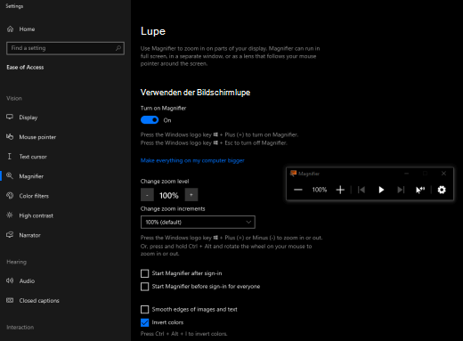 Invertierte Bildschirmfarben mit aktivierter Bildschirmlupe in Windows.