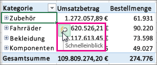 Schaltfläche 'Schnelleinblick'