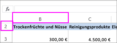 Ausgeblendete erste Spalte und Zeile