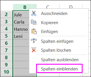 Option zum Einblenden