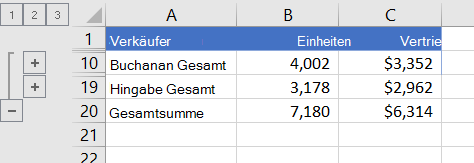Gegliederte Liste, in der nur Summenzeilen angezeigt werden