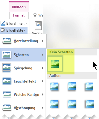 Deaktivieren Sie einen Bildeffekt, den Sie nicht wünschen, indem Sie die Option Kein Effekt auswählen.