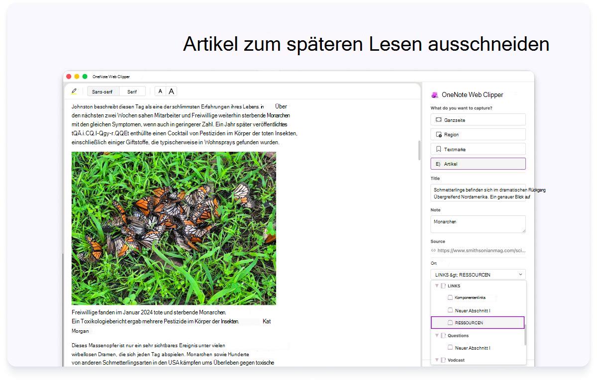 Screenshot einer Webseite mit einem seitenseitigen Bereich für Einstellungen. Text oben besagt, dass Artikel zum späteren Lesen ausgeschnitten werden sollen.