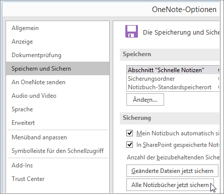 Screenshot of the OneNote Options dialog box in OneNote 2016.