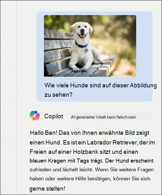 Screenshot von Copilot. Ein Bild eines Hundes wurde zusammen mit der Aufforderung Wie viele Hunde werden in diesem Bild gezeigt? Copilot hat genau geantwortet und eine zusätzliche Beschreibung des Bilds bereitgestellt.