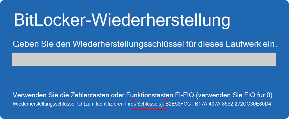 Screenshot des BitLocker-Wiederherstellungsbildschirms mit hervorgehobener Schlüssel-ID