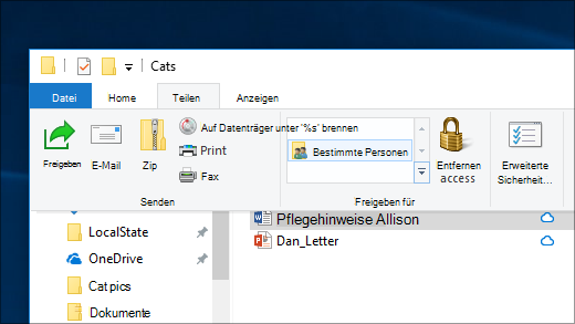 Freigeben einer Datei für bestimmten Personen in einem Netzwerk