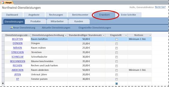 Registerkarte 'Erweitert' der Datenbankvorlage 'Dienstleistungen'