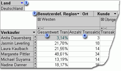 PivotTable-Ansicht