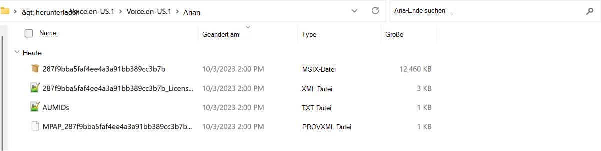 Screenshot des extrahierten Ordners des Voice-Pakets.