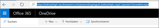 Screenshot von OneDrive.