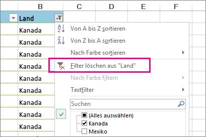 Schaltfläche 'Filter löschen aus'