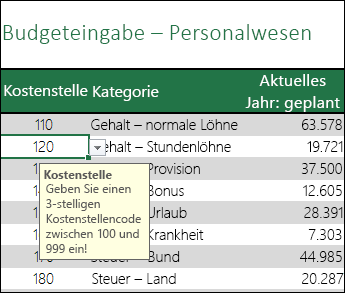 Eine Eingabemeldung wird angezeigt, wenn Benutzer die Zelle auswählen