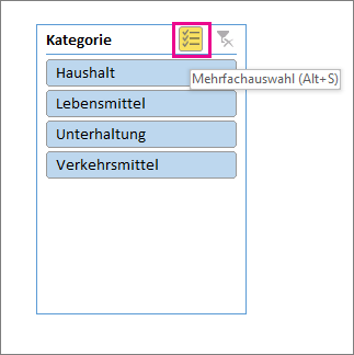 Datenschnittoptionen mit hervorgehobener Schaltfläche für Mehrfachauswahl
