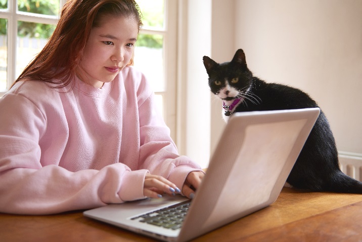Foto einer Frau an einem Laptop mit ihrer Katze.