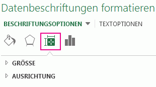 Formatieren von Datenbeschriftungen Symbol und Bereich 
