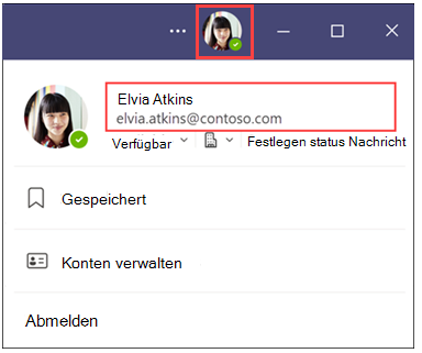 Pronomen in Teams