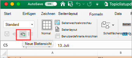 Zeigt eine Excel-Tabelle an