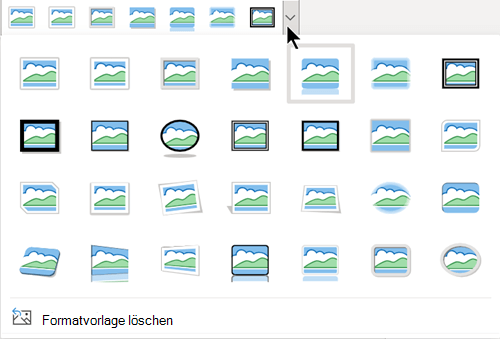 Der Katalog 
