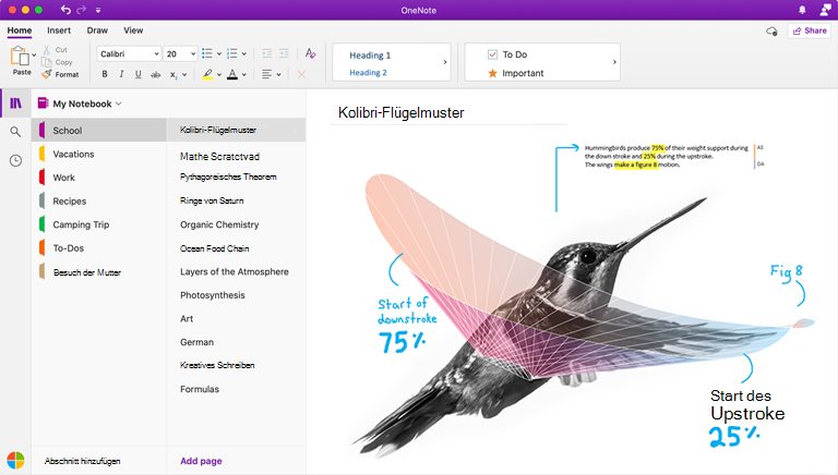 Screenshot von OneNote für Mac