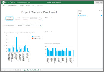 Die Projektübersichtsdashboard-Arbeitsmappe enthält allgemeine Vorgangsinformationen für Ihre Projekte