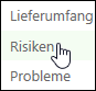'Risiken' in der Schnellstartleiste